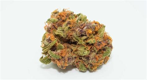 pink kush strain reviews